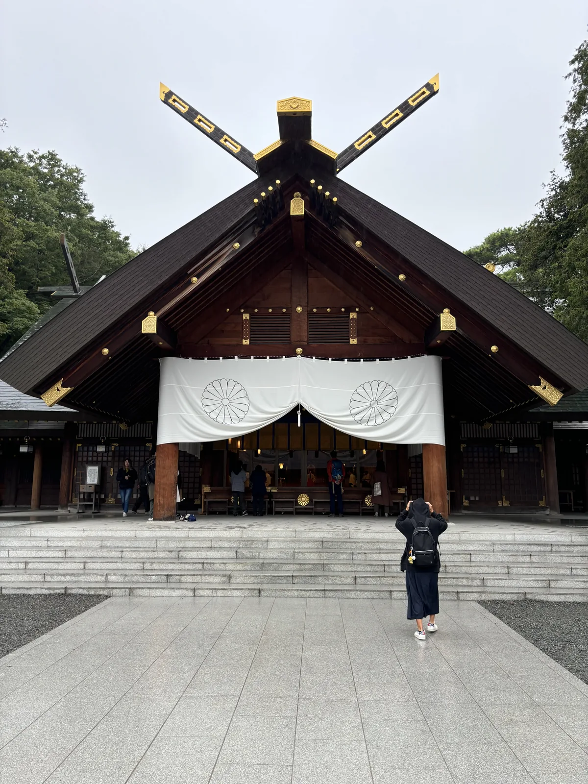 北海道神宮拜殿正面，神明造的切妻屋頂，千木交叉、鰹木橫置，正面白幕上兩朵菊花紋
