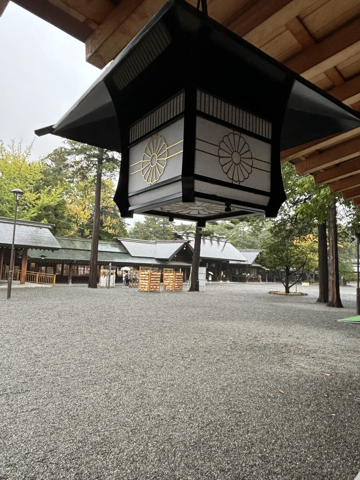 北海道神宮回廊簷下的方形吊燈籠，四面各鏤一朵菊