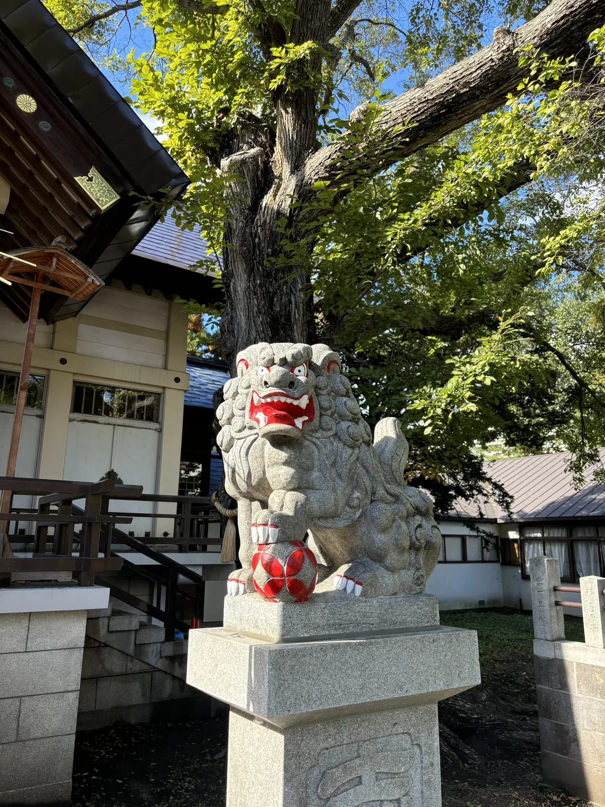 豐平神社的花崗岩狛犬，右前腳踩著一顆塗紅的繡球，背後是粗大的樹幹