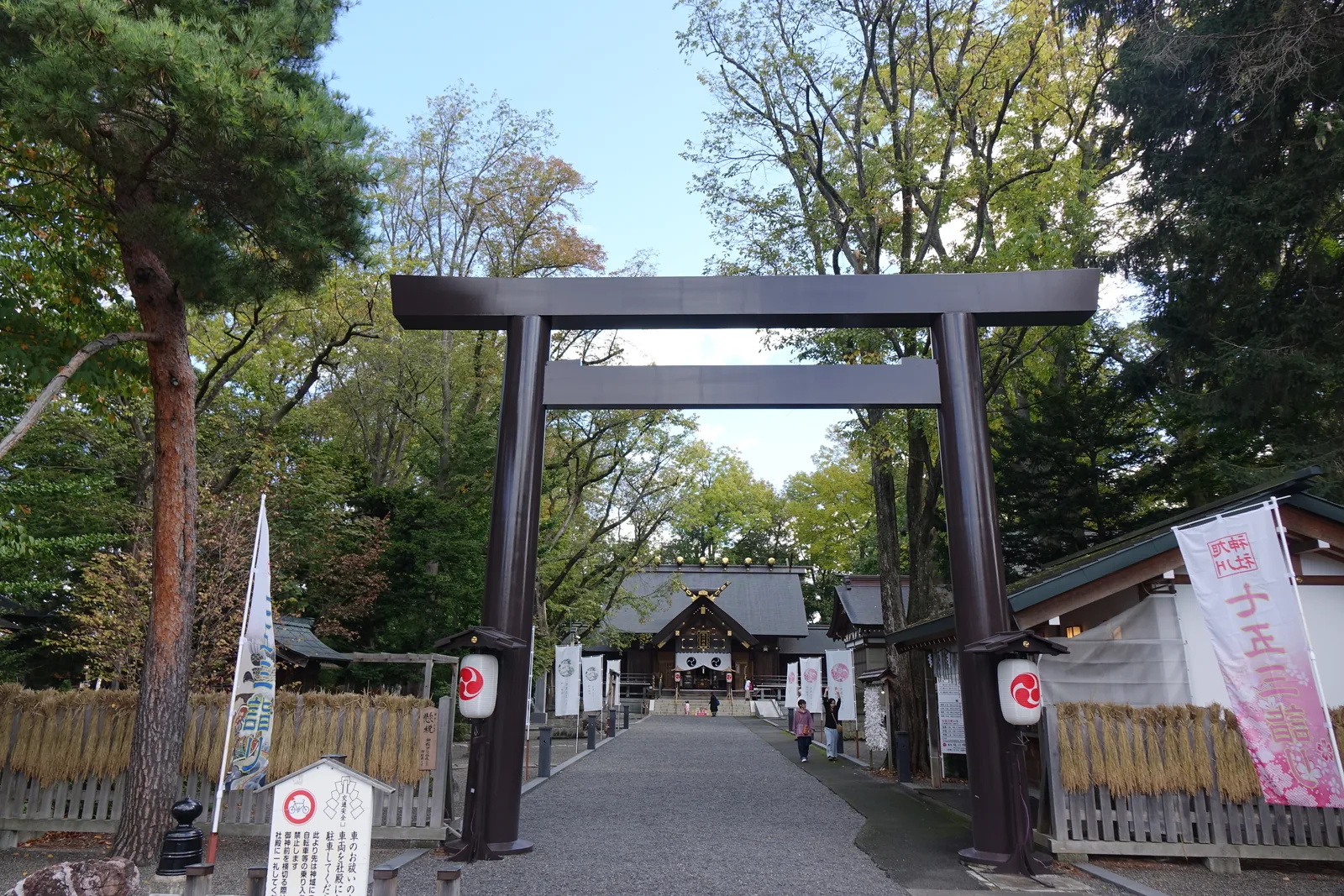 旭川神社的木造二之鳥居，黑色塗裝、明神形，鳥居內是筆直的礫石參道，兩側插滿幟旗