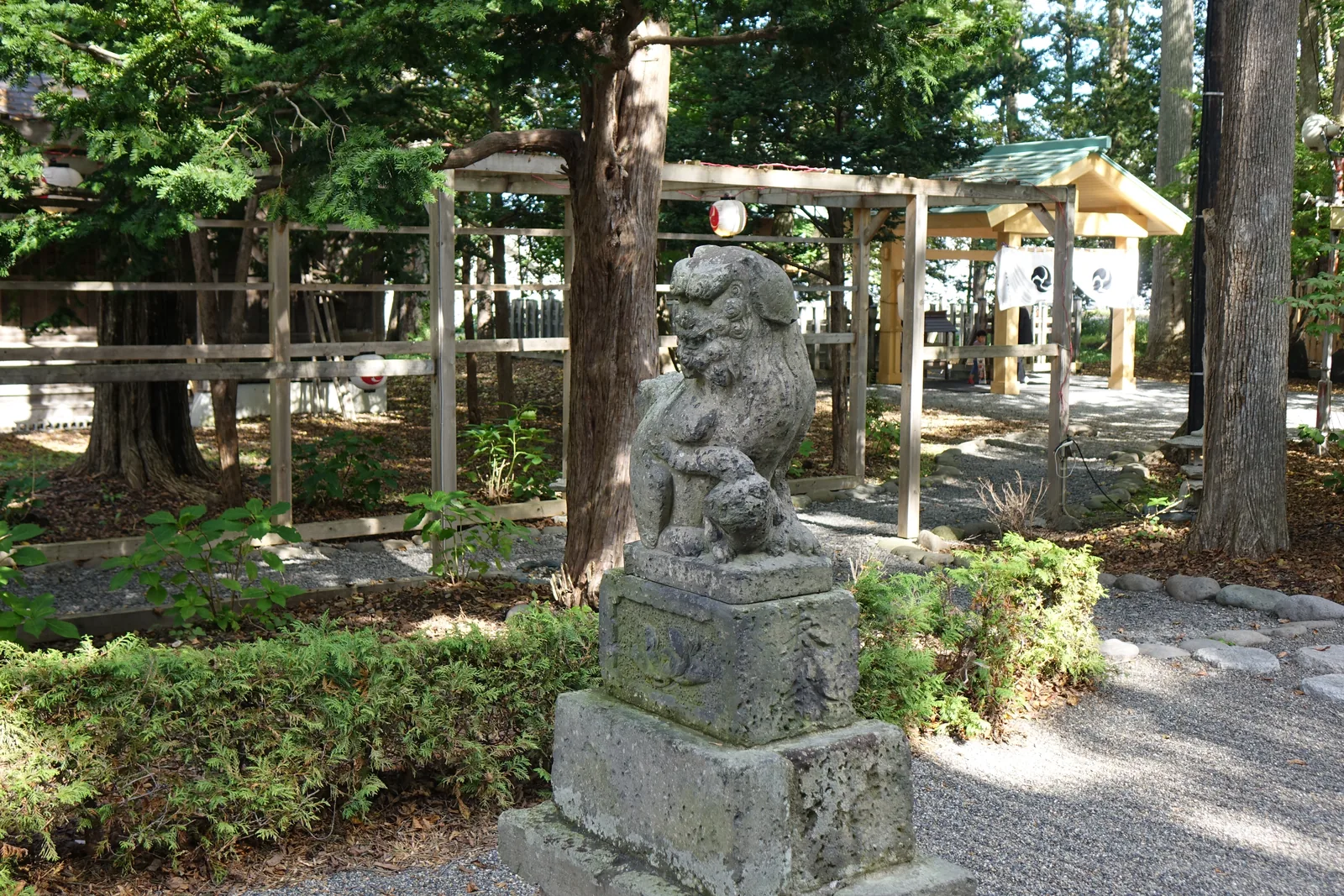 旭川神社的境內社，石造狛犬（子取）立在階梯狀方形台座上，背後是木造鳥居與小社殿