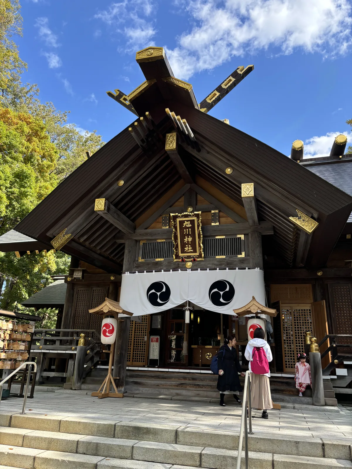旭川神社拜殿的仰角，千木與鰹木的金色包頭在晴空下發亮，兩側各立一支彩色的「七五三詣」幟