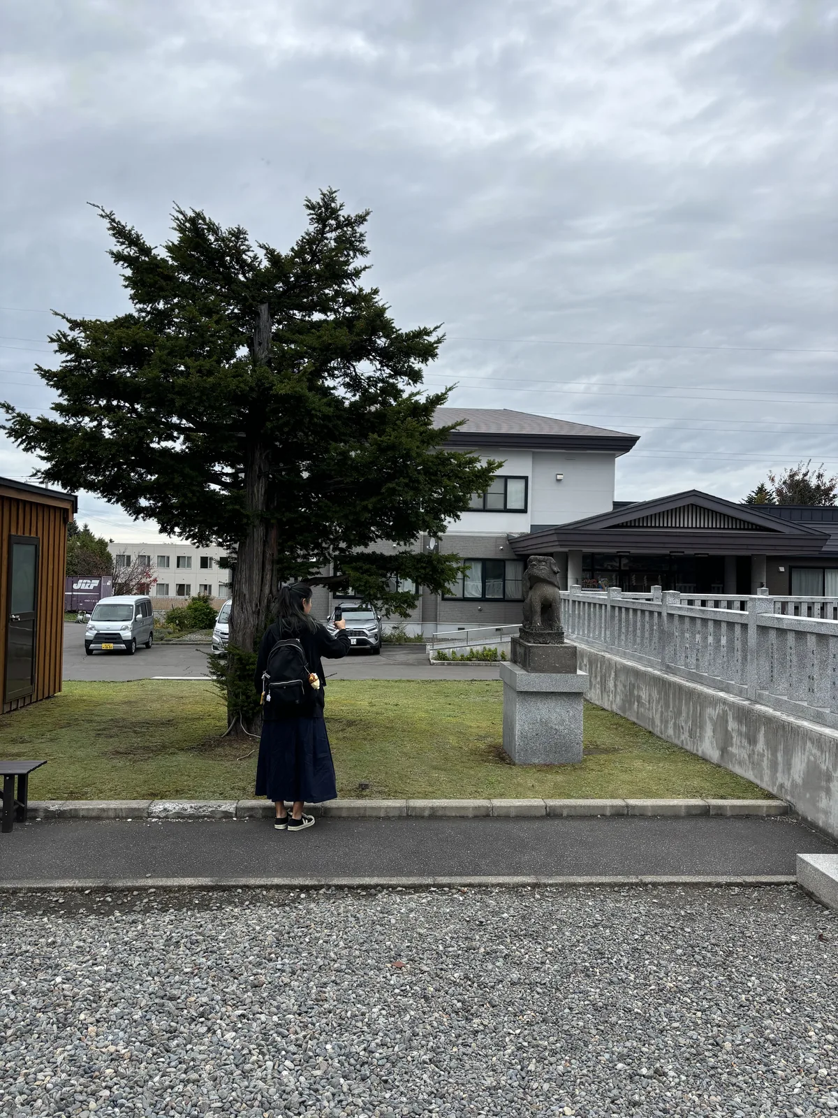 美瑛神社境內，一株高大的針葉樹立在草地中央，樹下是石造狛犬與玉垣的轉角