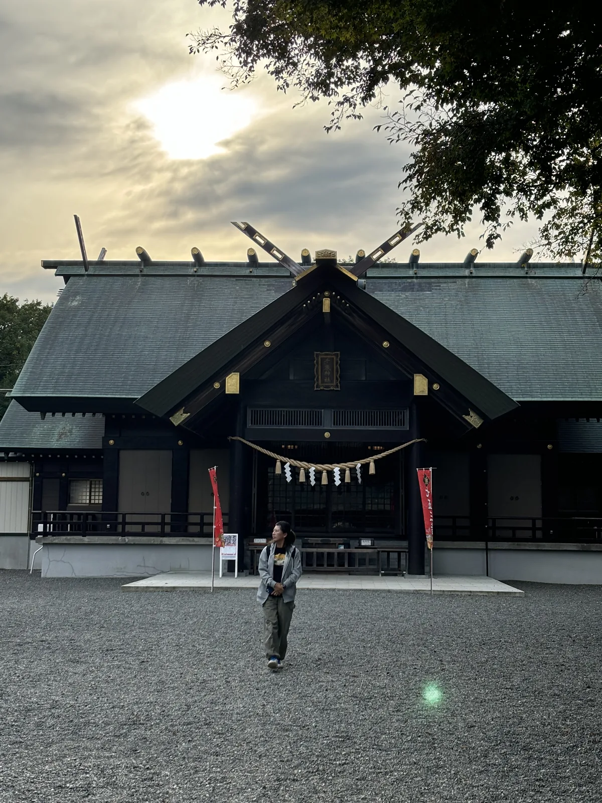 千歲神社社殿的仰角，畫面上緣是一株覆過來的落葉樹，夕照從社殿背後透出來