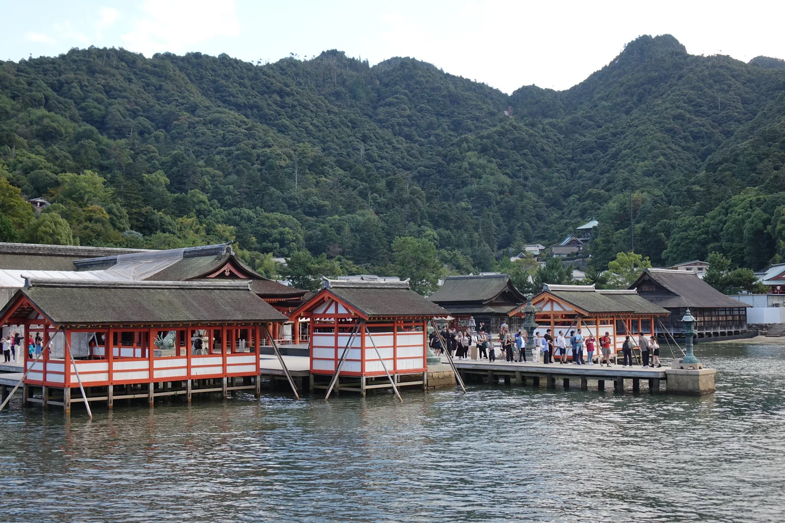 傍晚的嚴島神社社殿群，潮水漲到迴廊底下，整組建築浮在海上，人聚在正對大鳥居的平舞台上