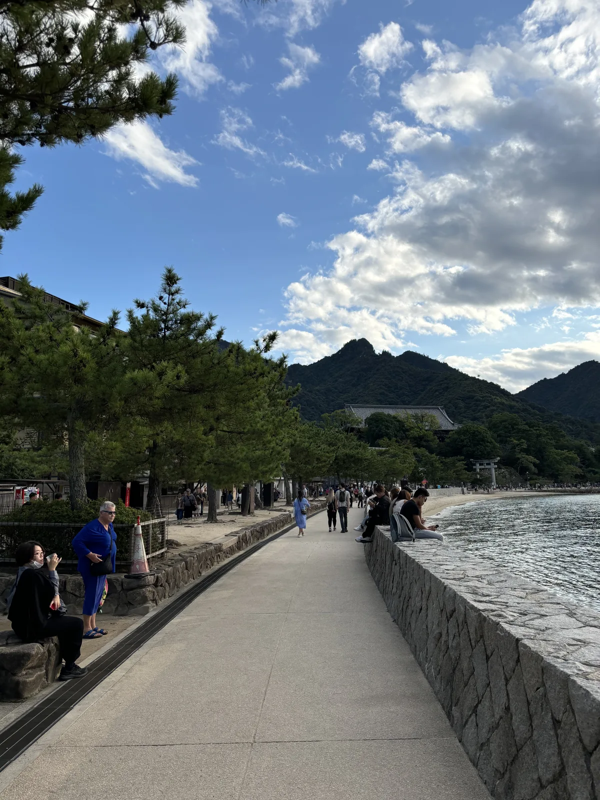 御笠濱沿海岸往社殿走的一段，左邊是松與石燈籠列，右邊的海水漲到護岸下方