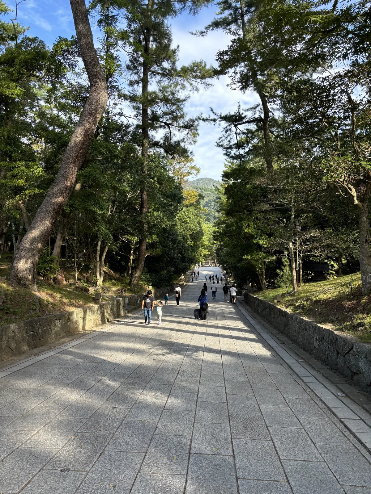 出雲大社的下り参道，過了勢溜之後往下走，兩側松樹把天空收窄，路面是砂利