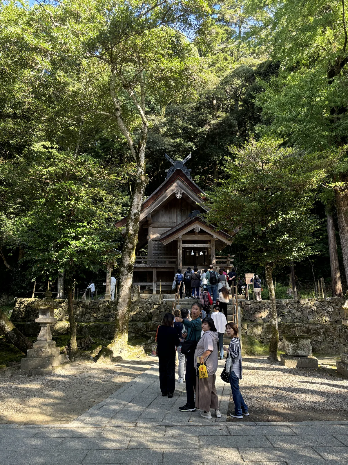 出雲大社御本殿正後方的素鵞社，人在門前排隊，背後是八雲山的樹林
