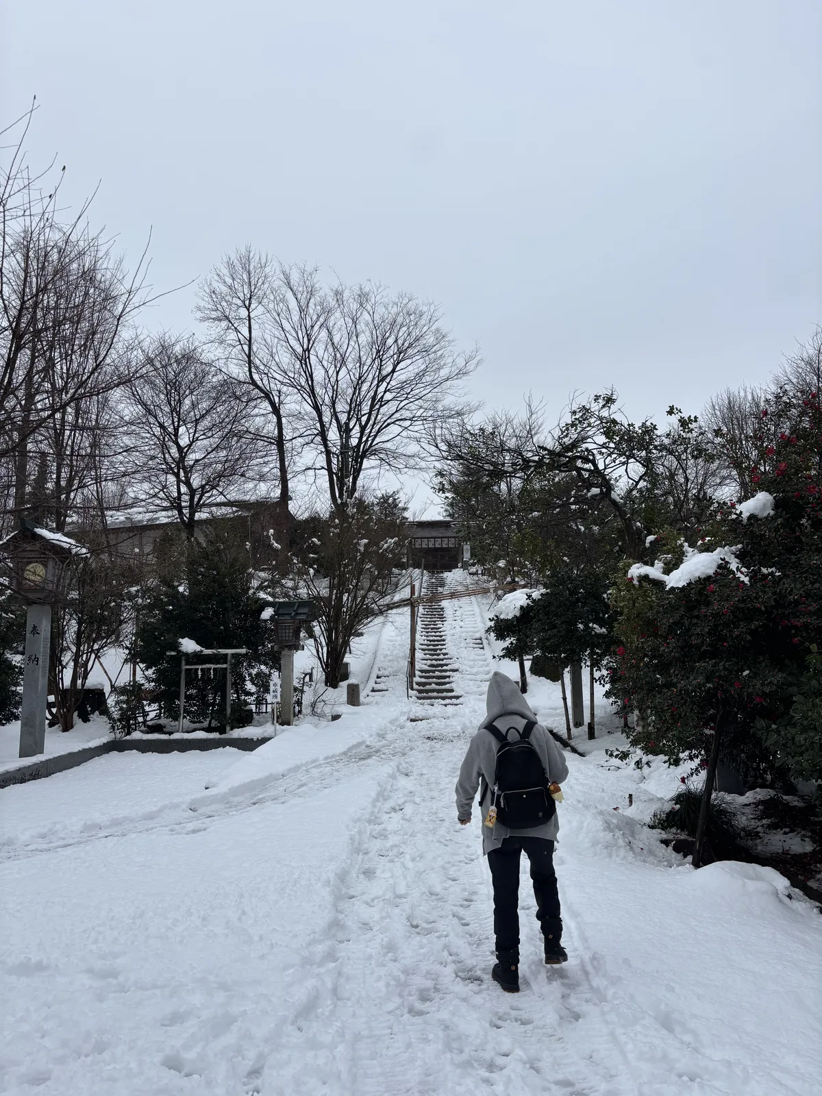 櫛田神社的砂礫參道被剷出一條窄道，兩側積雪堆到小腿高，路微微上坡，盡頭是石階與更高處的社殿