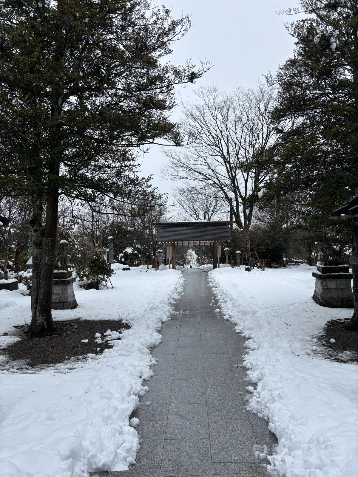 從櫛田神社社殿前望向參道，石板路兩側是壓實的雪，遠處樹影之間立著鳥居