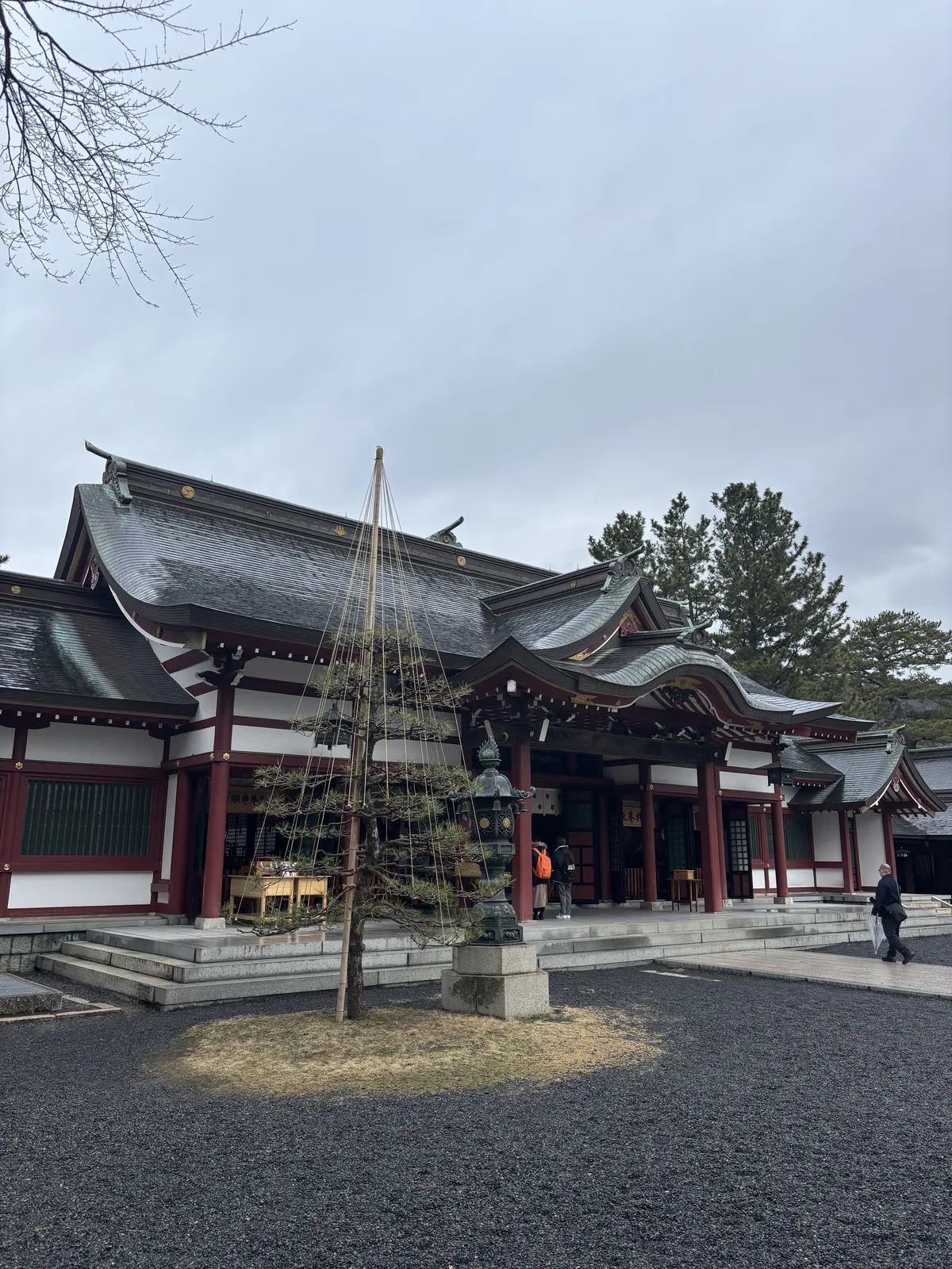 從社務所這一側看氣比神宮社殿群的側面與屋頂層次，前景是綁了雪吊り的松