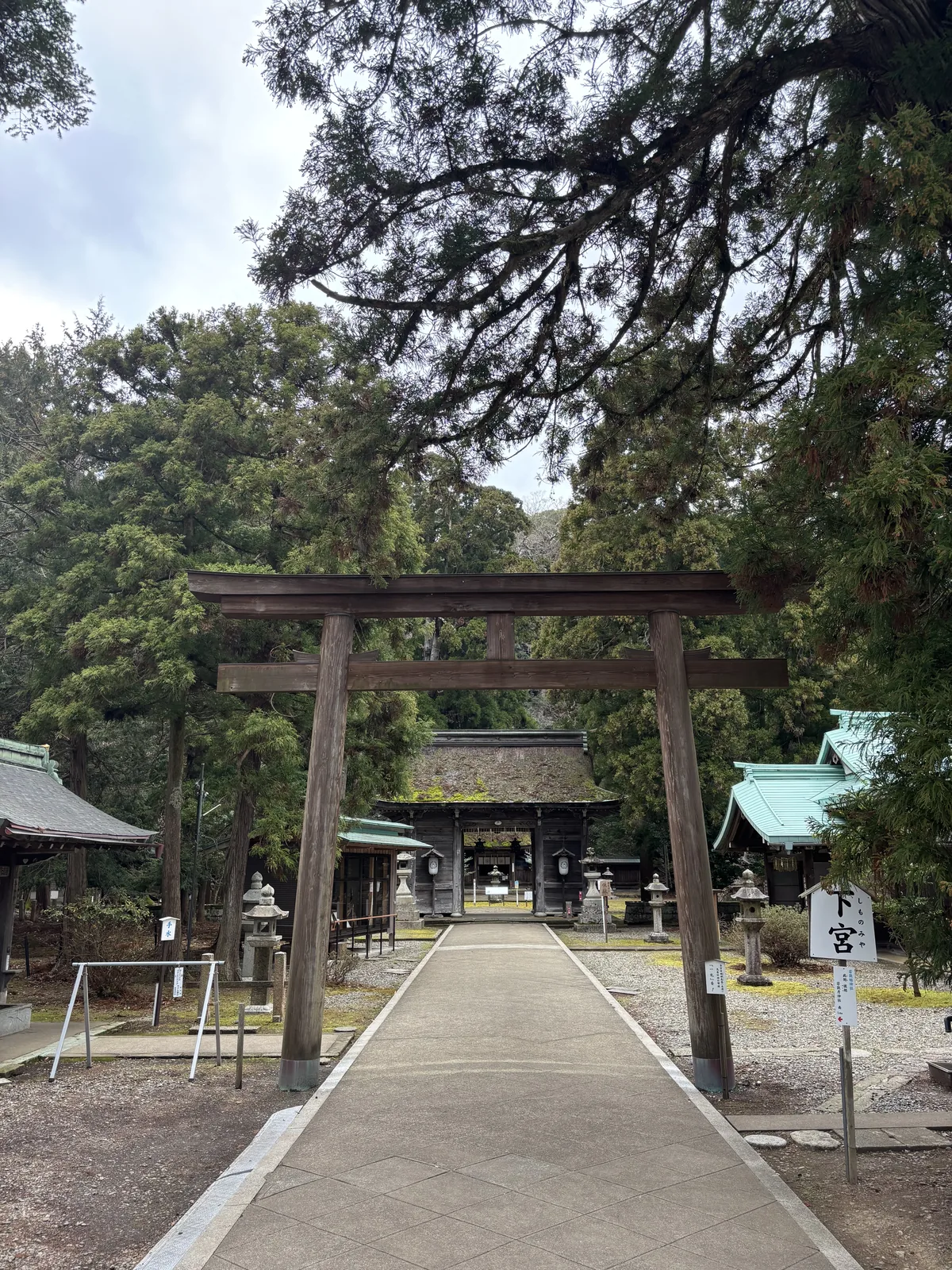 若狹姬神社的石造一之鳥居與筆直的參道，兩側是杉，正面深處是隨神門