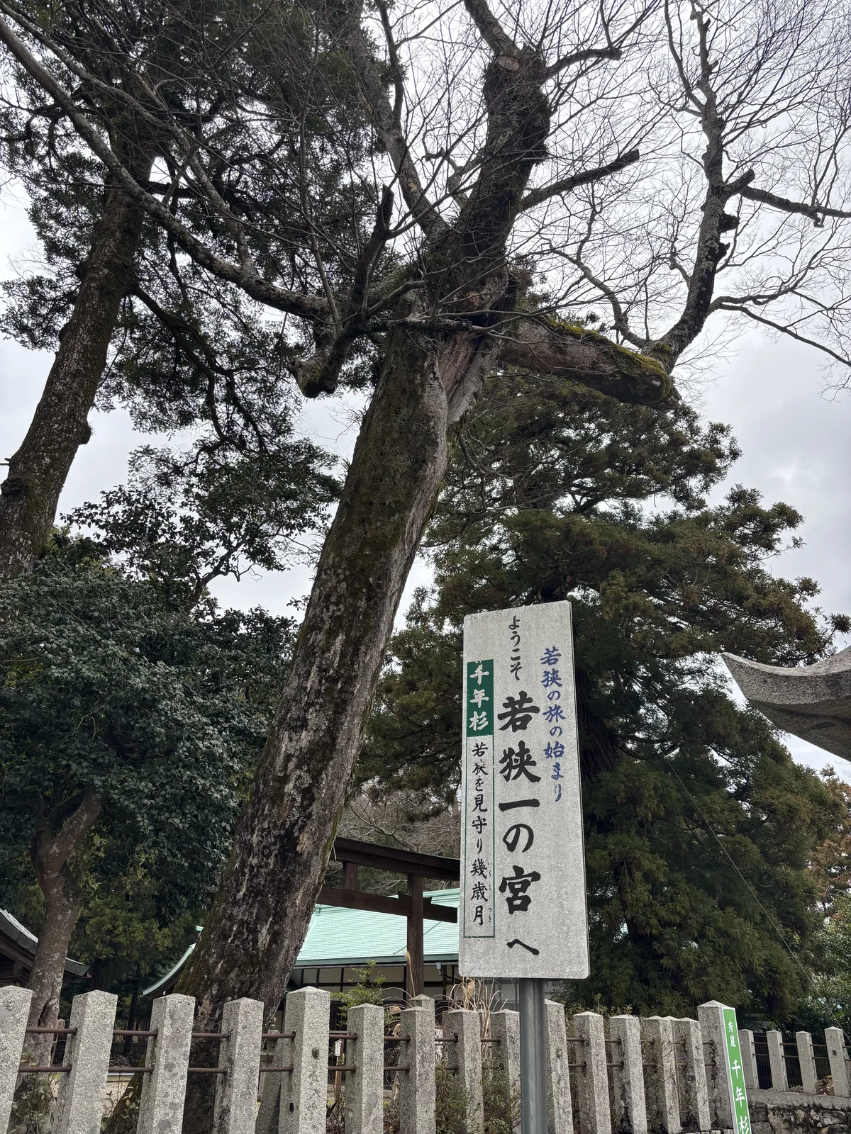 若狹姬神社參道口的案內板，寫著「若狹之旅的開始／歡迎來到若狹一之宮」