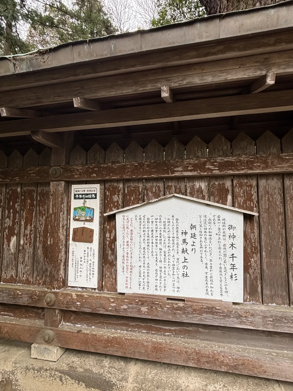若狹姬神社板壁上的兩塊掲示，右邊「御神木 千年杉」，左邊「朝廷より神馬献上の社」