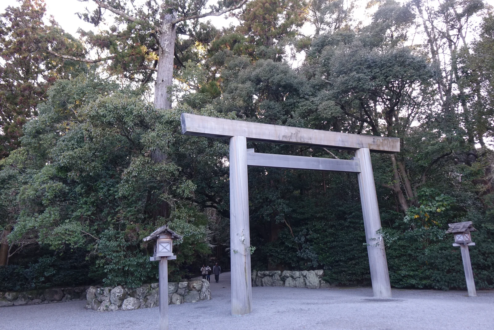 表參道的木造鳥居
