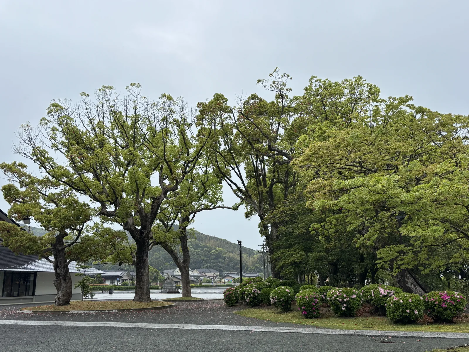 境內西緣的大樹與修剪過的花壇，樹後是田島的屋頂與遠處的低山