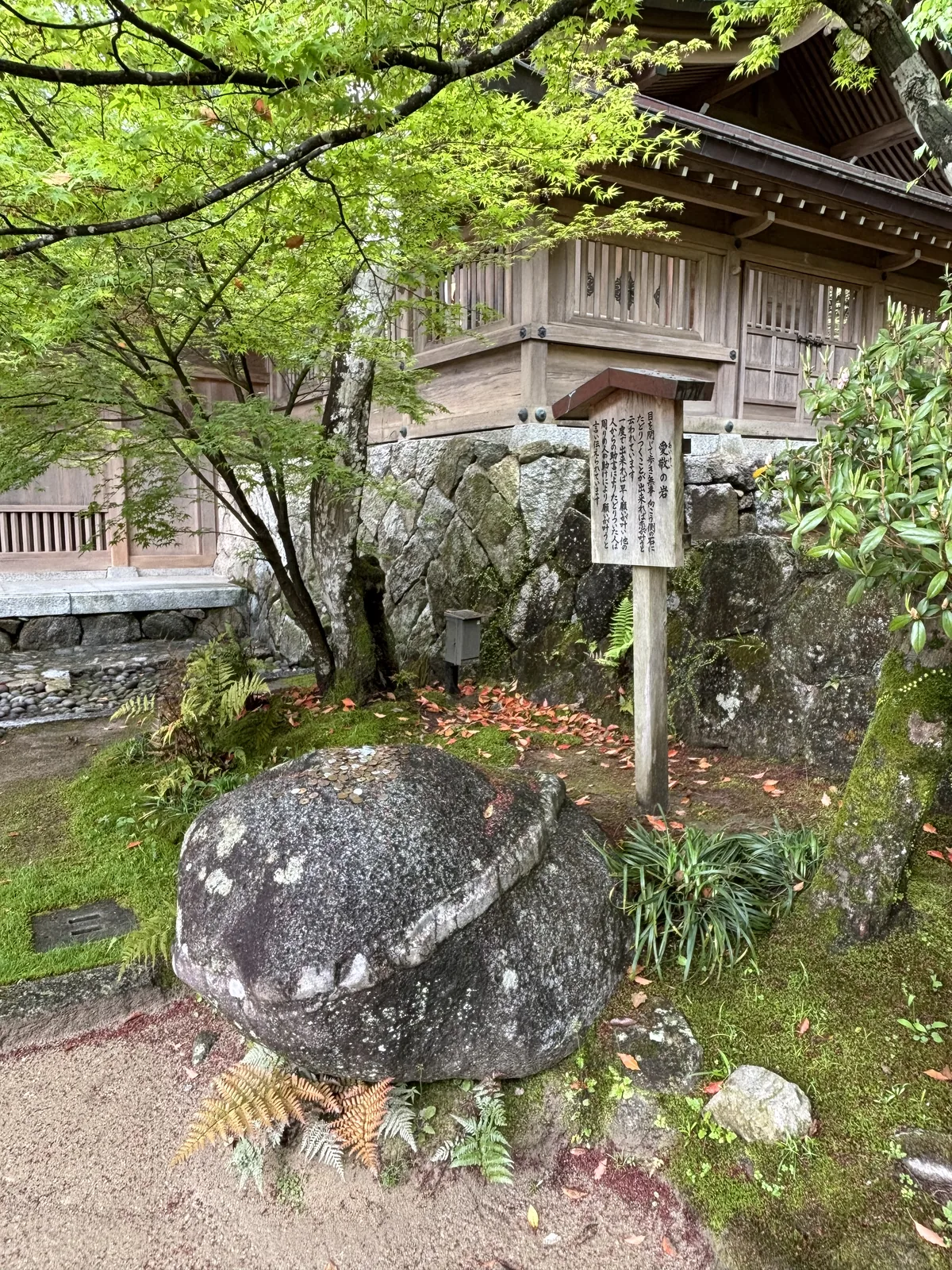 愛敬の岩，花崗岩表面長著白色地衣，頂上堆著硬幣，旁邊立著解說木牌