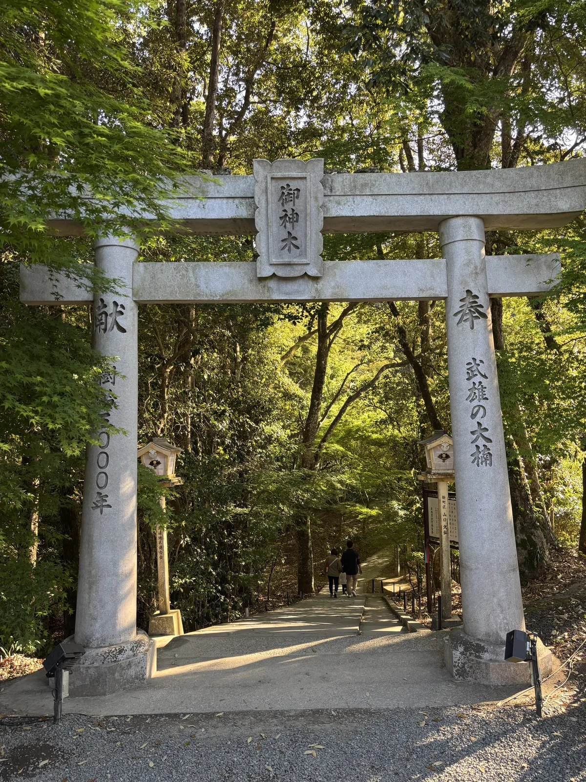石造鳥居，扁額刻「御神木」，柱上刻「奉 武雄の大楠」與「献 樹齢三〇〇〇年」，穿過去是林間的階梯路