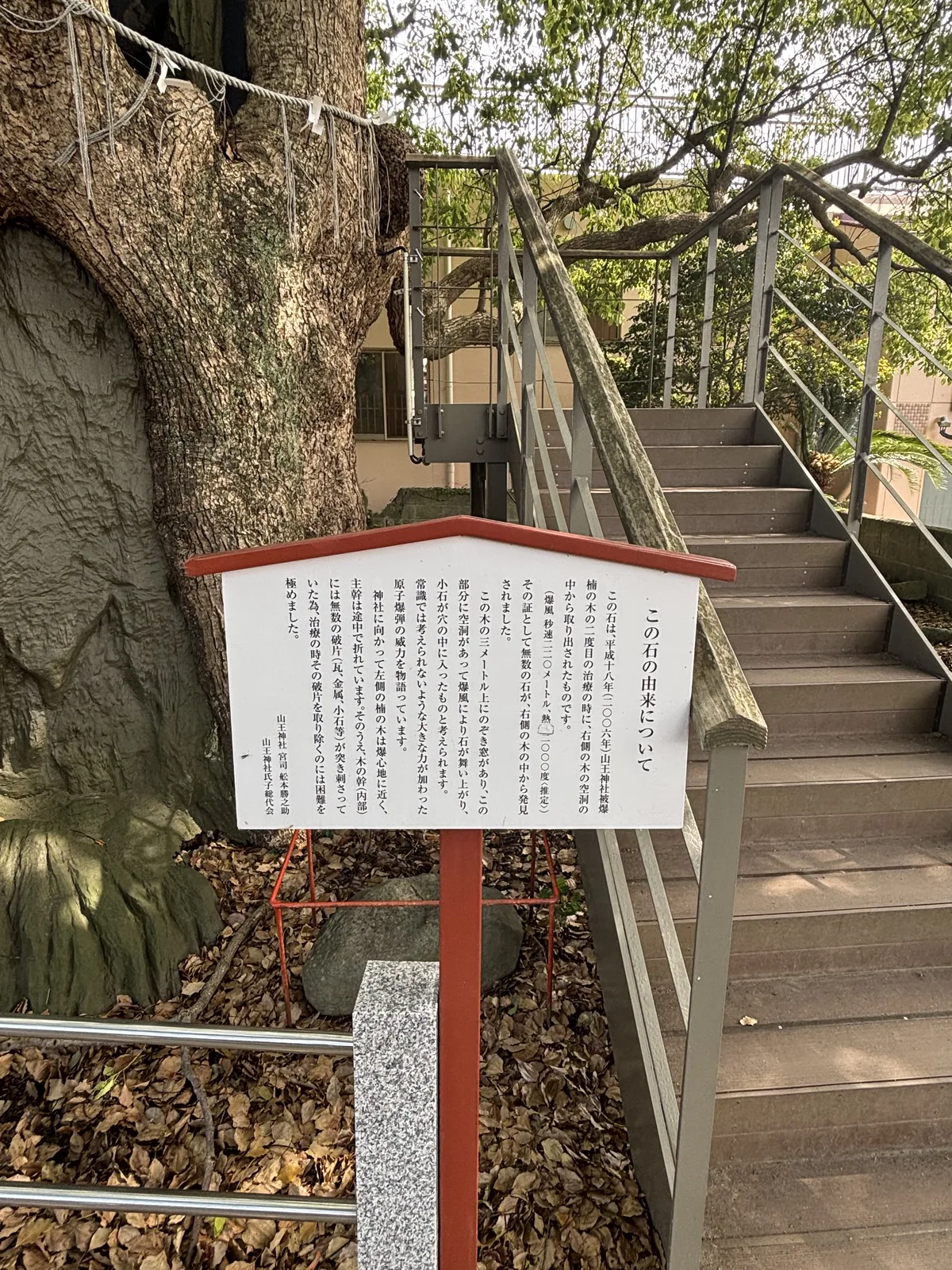 立在樹根旁的木札，標題寫「この石の由来について」，前方擺著一塊石頭