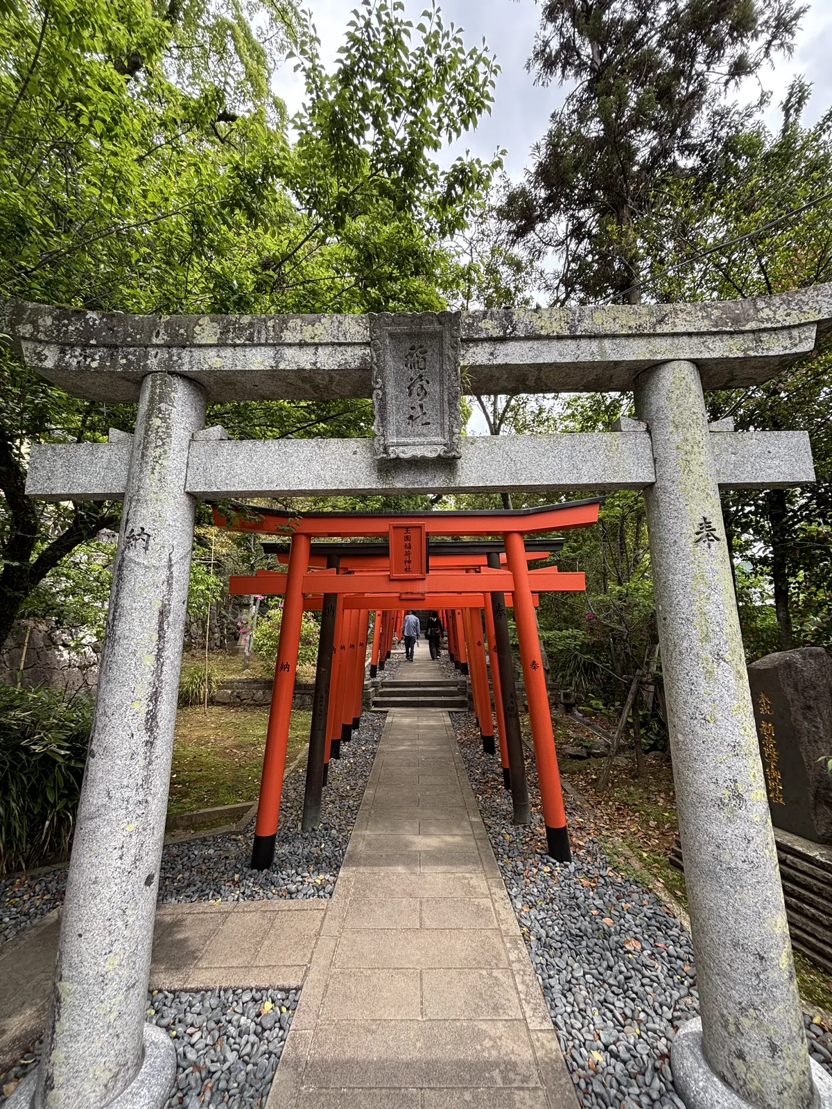 玉園稻荷神社參道的紅色千本鳥居，石鳥居在前，紅色鳥居連續排列往上延伸