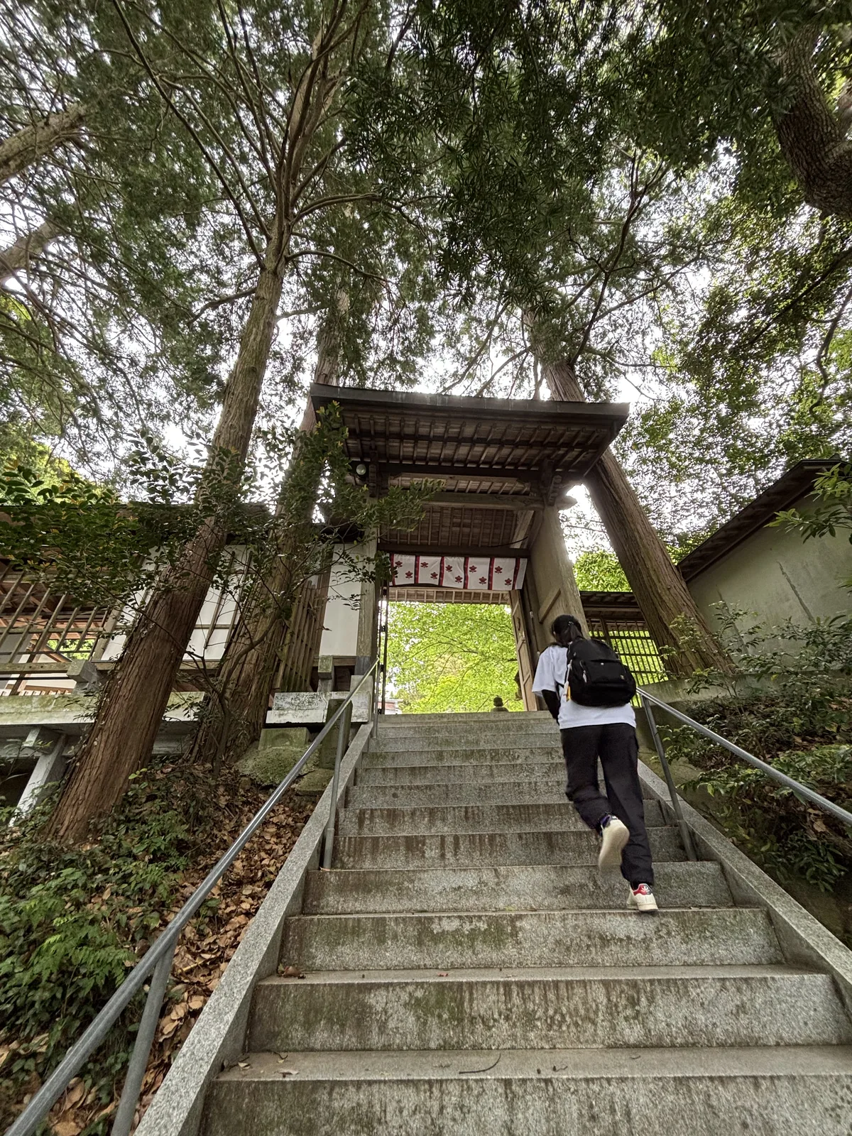 伊萬里神社上段的素木神門，位於杉木夾道的長石階頂端，門洞裡垂著印有紅紋的白幕