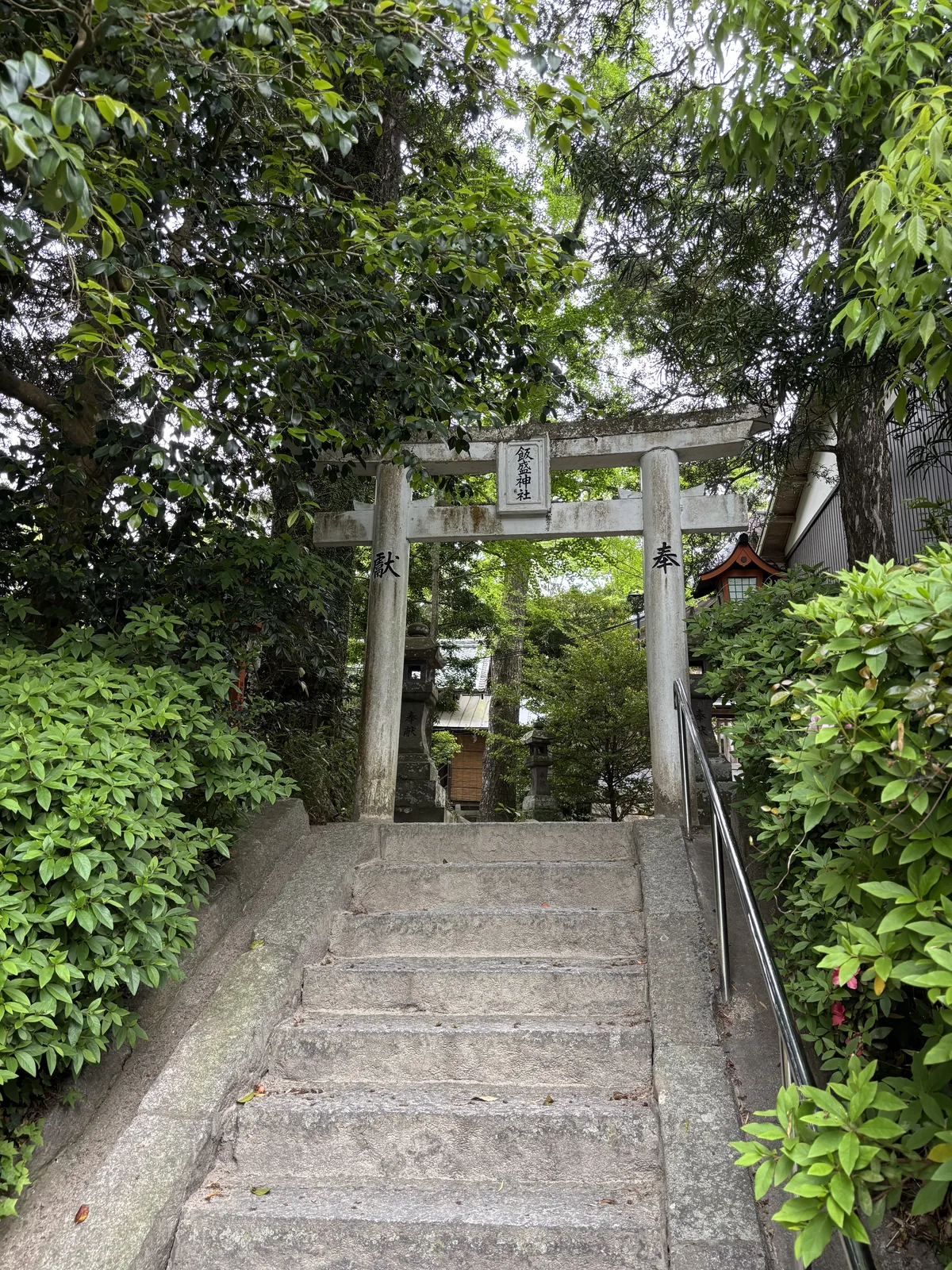 飯盛神社的石鳥居與石階，額束刻著社名，兩根柱子分別刻「奉」與「獻」，兩側是茂密的常綠樹