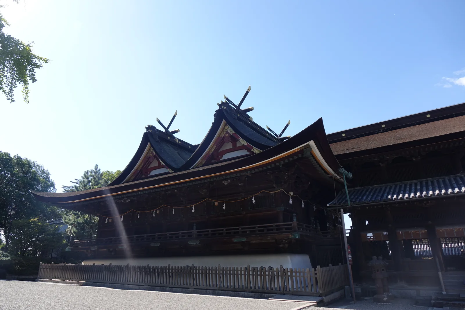 吉備津神社本殿側面：兩個入母屋的千鳥破風前後並排，用同高的棟連起來，整片檜皮葺成一個大屋頂，破風上有朱色的飾金具