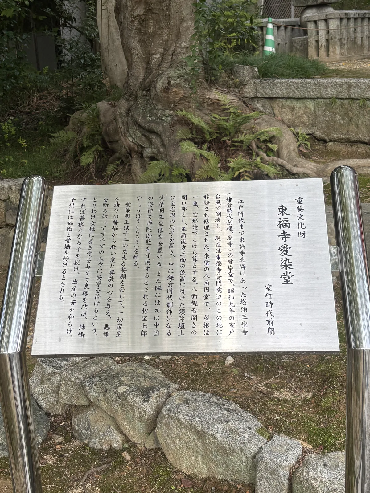 「重要文化財　東福寺愛染堂　室町時代前期」的說明板，立在石垣邊的樹根旁，白底黑字，周圍是苔與雜木