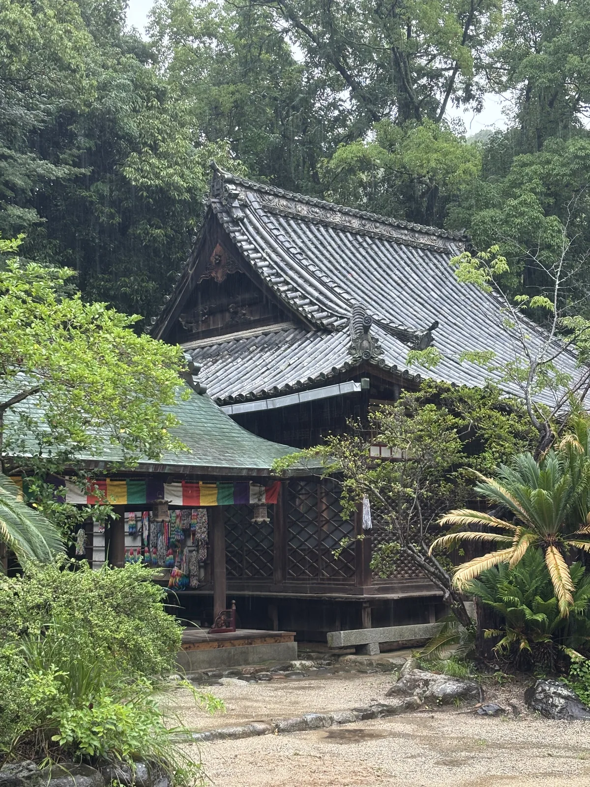 本堂的側面。上層是深深的入母屋造本瓦葺，下層接一段銅板葺的屋頂，簷下掛著五色幕與千羽鶴。左前方是蘇鐵。