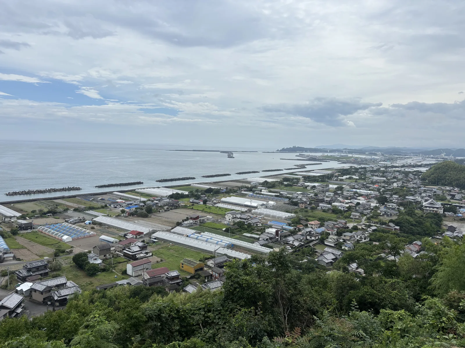 從寺的東側往南看。近處是山的斜面與墓地，中間是十市的聚落、溫室與水田，再過去是一整排延伸到畫面外的消波塊，最遠是土佐灣。這一段海岸的設計海嘯水位是 T.P.＋8.0 公尺。