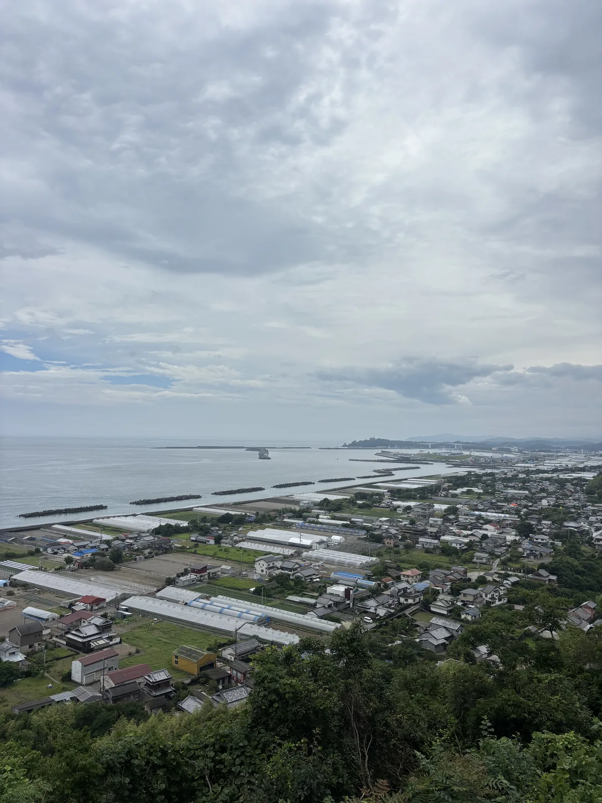 從山上往南看整片標高零的平野：聚落、農地、道路，遠處是土佐灣的水平線。這是一片三十公里長的砂濱海岸的一段。