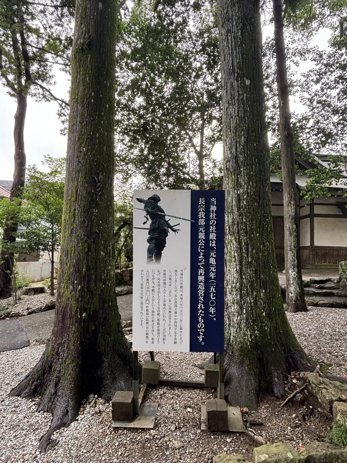 藍白兩色，配長宗我部元親的銅像照片。標題句「当神社の社殿は、元亀元年（一五七〇年）、長宗我部元親公によって再興造営されたものです」；內文記永祿六年（一五六三）燒失、為祈願四國平定而再興，並解釋「入りトンボ様式」。板立在兩棵巨杉之間。