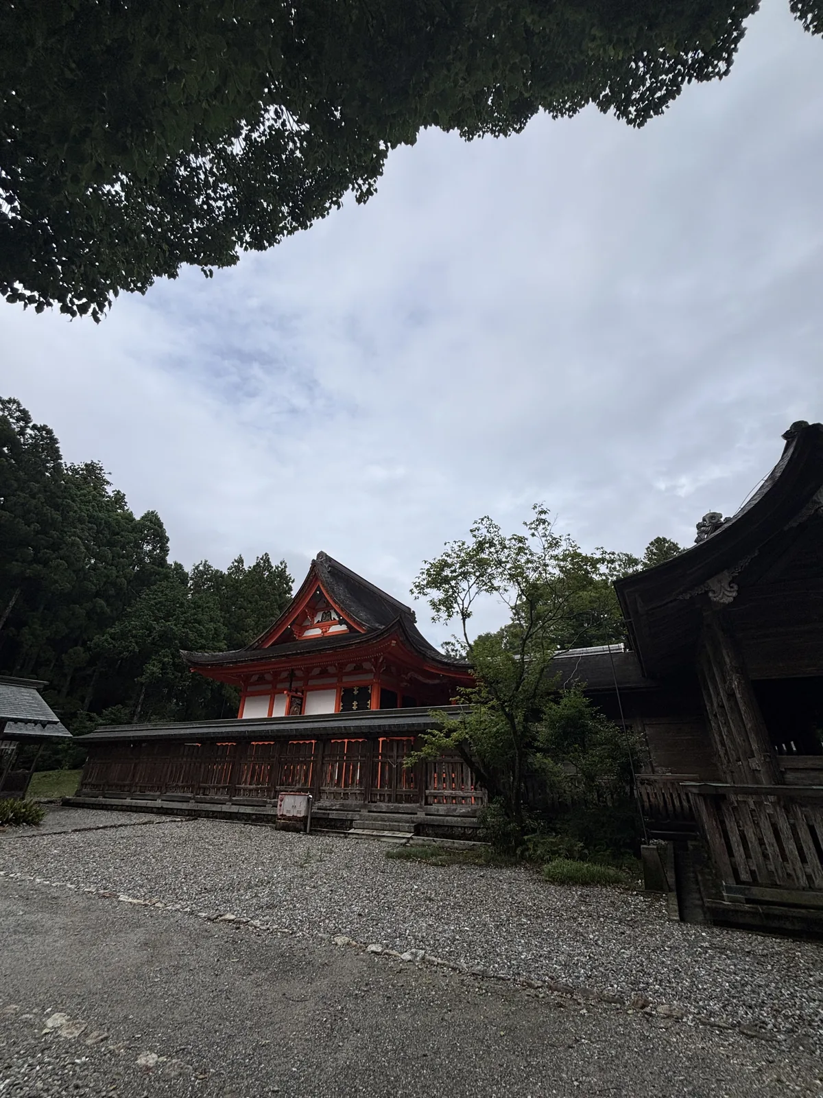 從社殿深色的軒下望出去。前景是黑色的屋簷與板壁，遠處樹叢之間露出朱塗的鼓樓。