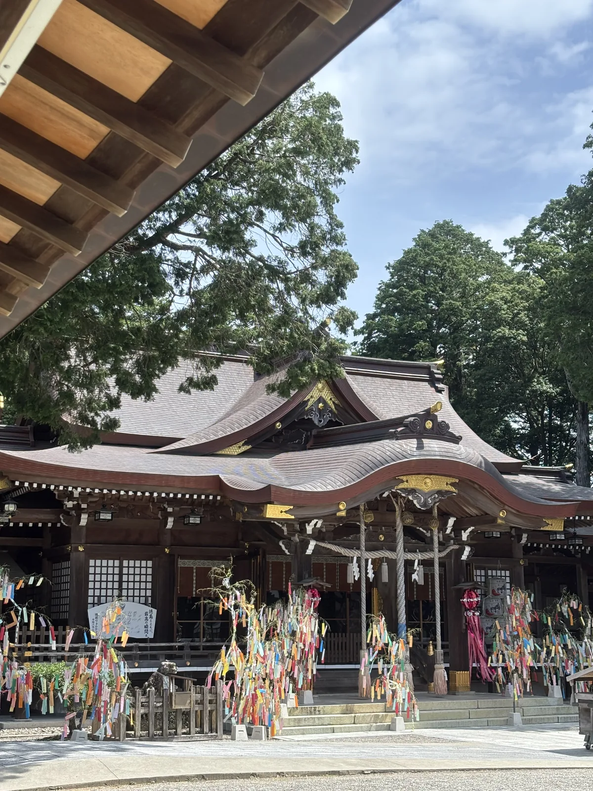 大麻比古神社拜殿前的七夕飾：竹枝上綁滿彩色短冊與粉紅色吹流，後方是拜殿的注連繩與木鼻雕刻，右側是奉納的酒樽