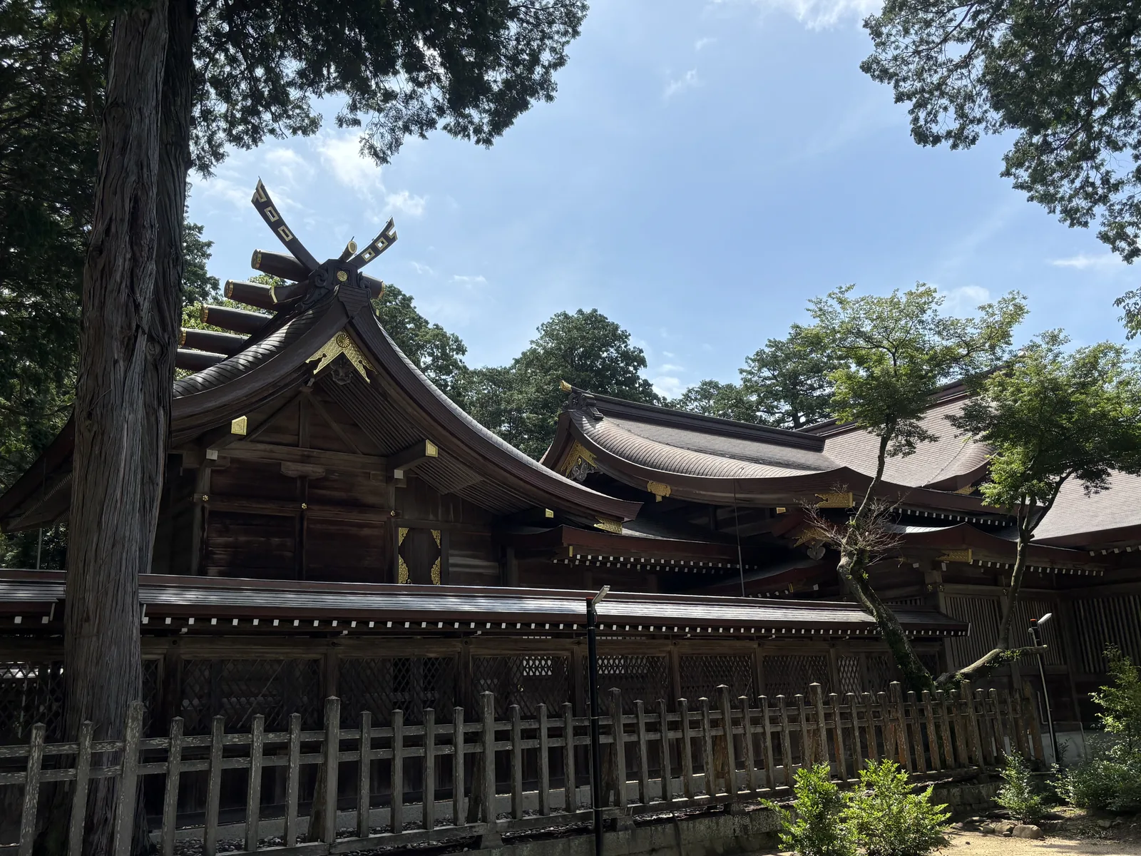 從側面看大麻比古神社的社殿群：銅板的屋頂一層層往後退，圍在木造的瑞垣後面