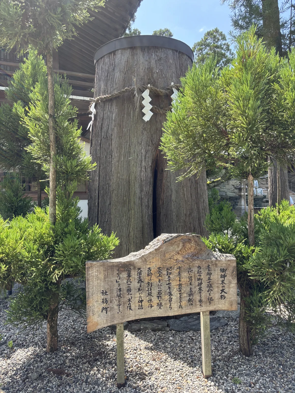 伊太祈曾神社的御神木大杉古幹：直立、頂部加了金屬蓋，腰部繞著注連繩與紙垂，正面裂開一道由下而上的縱洞，前方是社務所立的手寫木牌