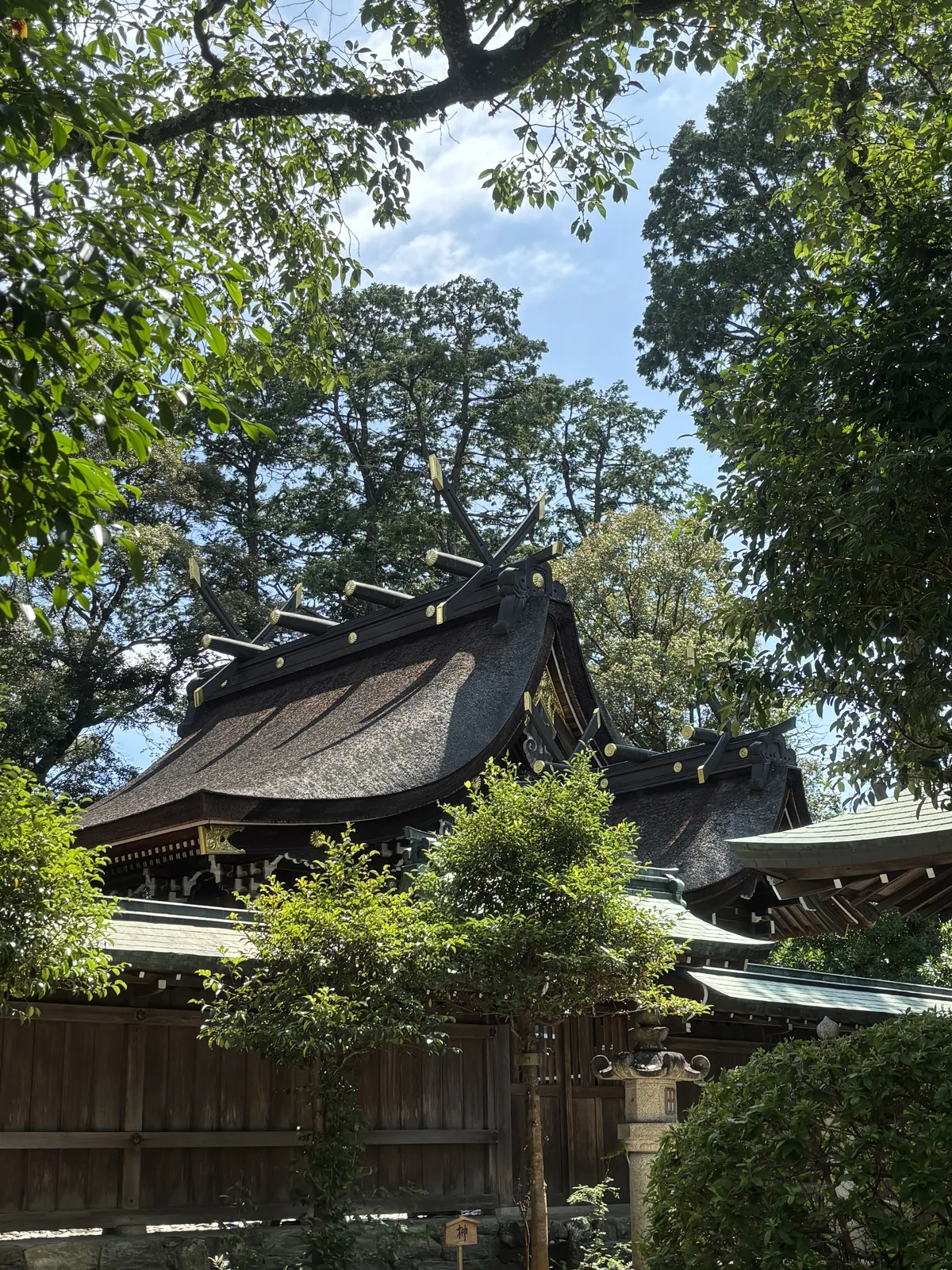 越過瑞垣（圍住本殿的內圈木柵）看伊太祈曾神社的本殿屋頂：檜皮葺的大屋頂上是千木與鰹木，金屬包頭，兩側脇殿的銅板屋頂低一階