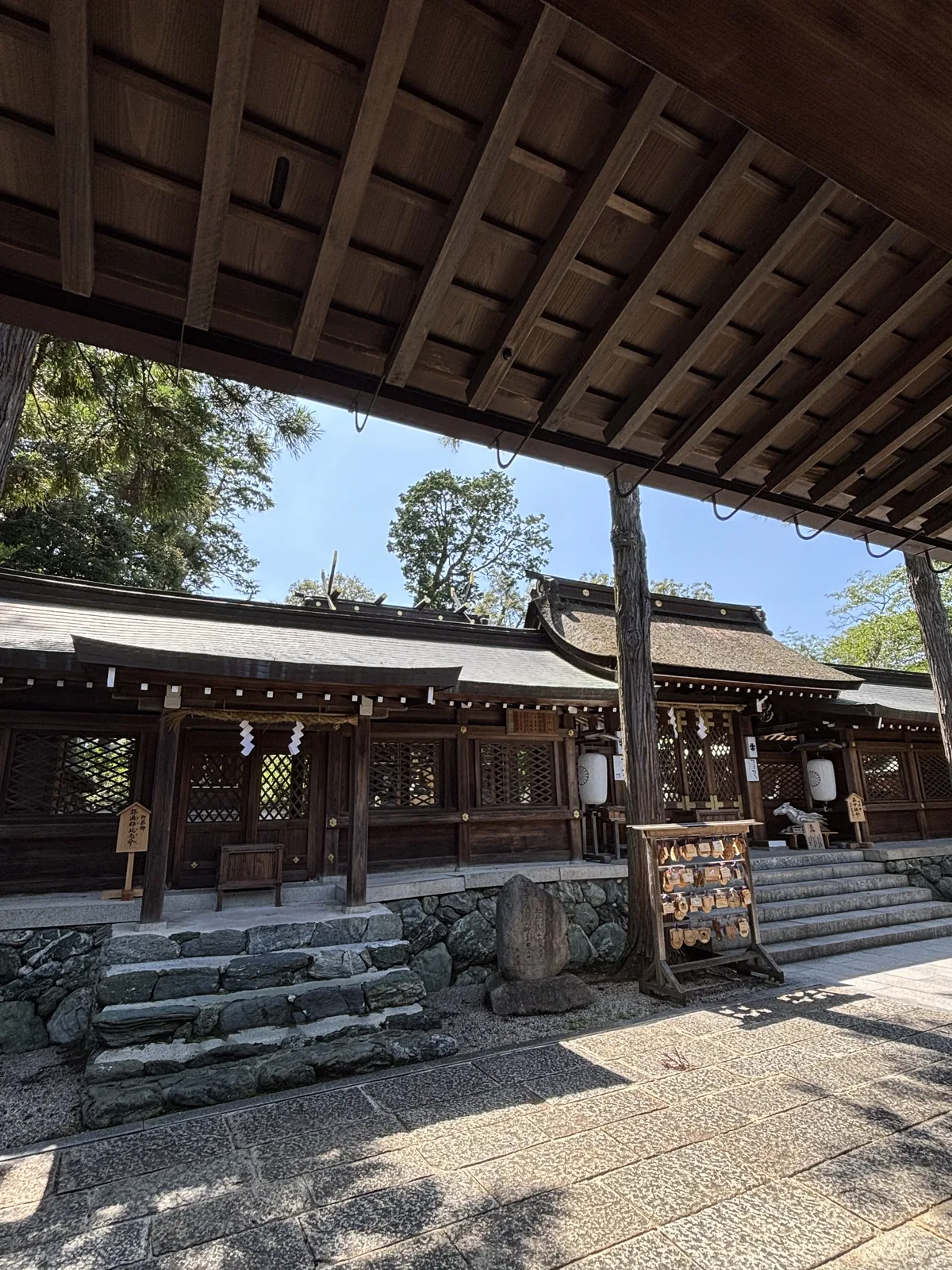 從伊太祈曾神社割拜殿的屋頂底下往外看：木格子的社殿、掛燈籠、繪馬掛與石階，右側是那截古幹