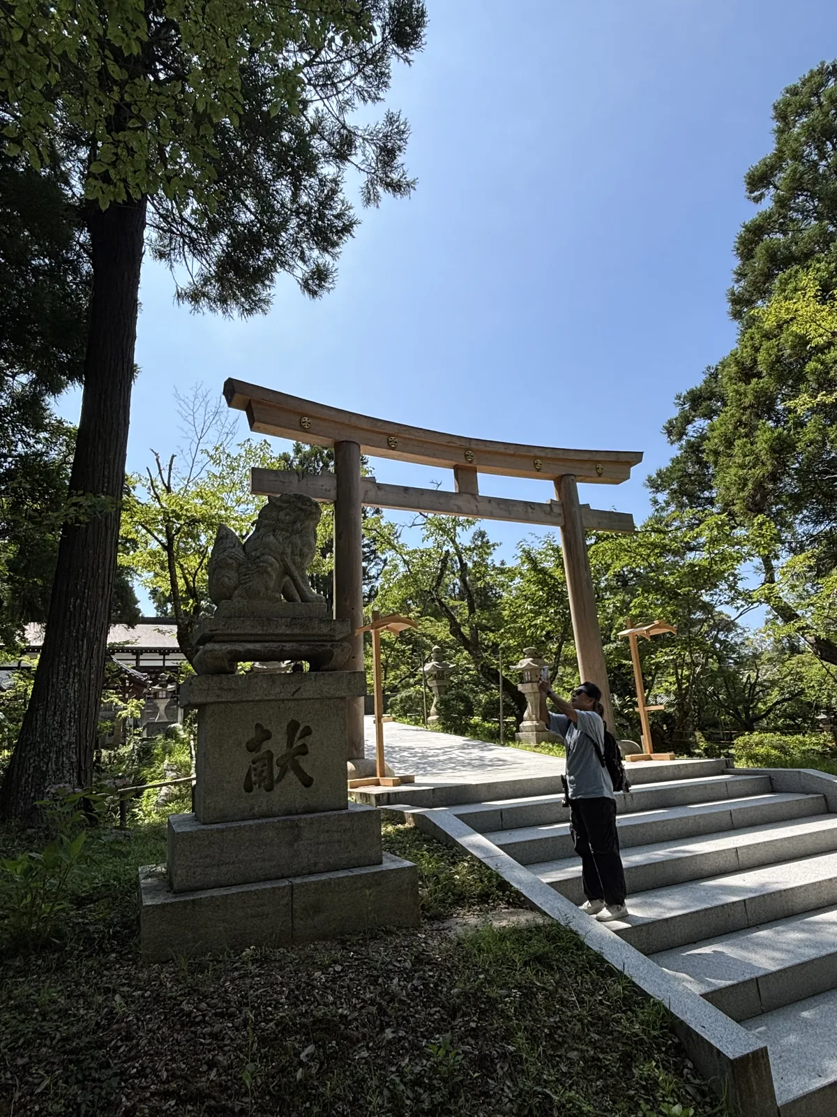 伊太祈曾神社石階與新鳥居的另一角度：鳥居後方參道繼續往上，兩側是高大的樟與杉