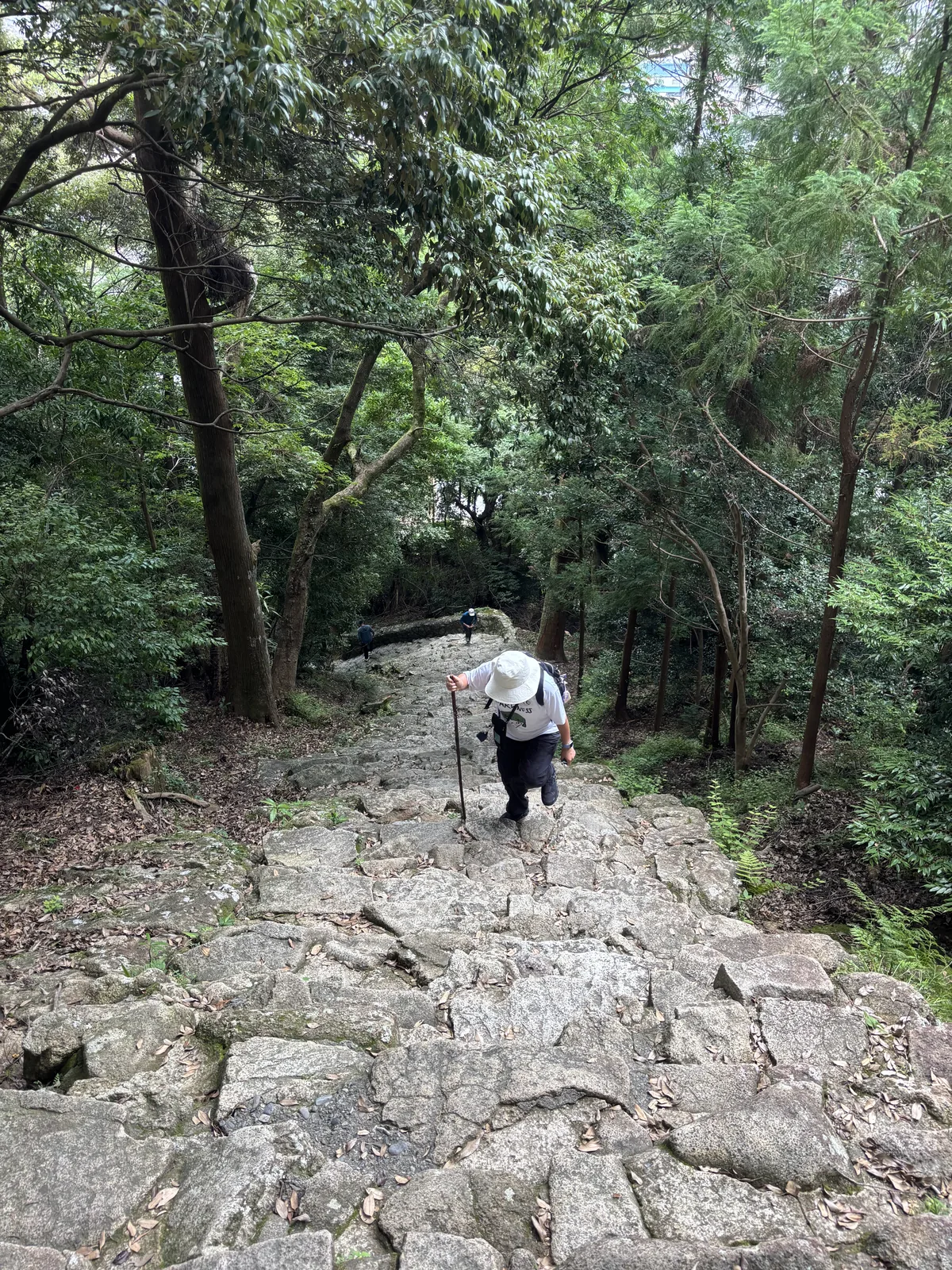 「鎌倉積み」的實況：每一階都是一塊沒有修整過的石頭，大小、高低、寬窄全不一樣，坡度陡到前一階的頂面幾乎貼在後一階的底面上。相傳為建久四年（一一九三）源賴朝寄進。