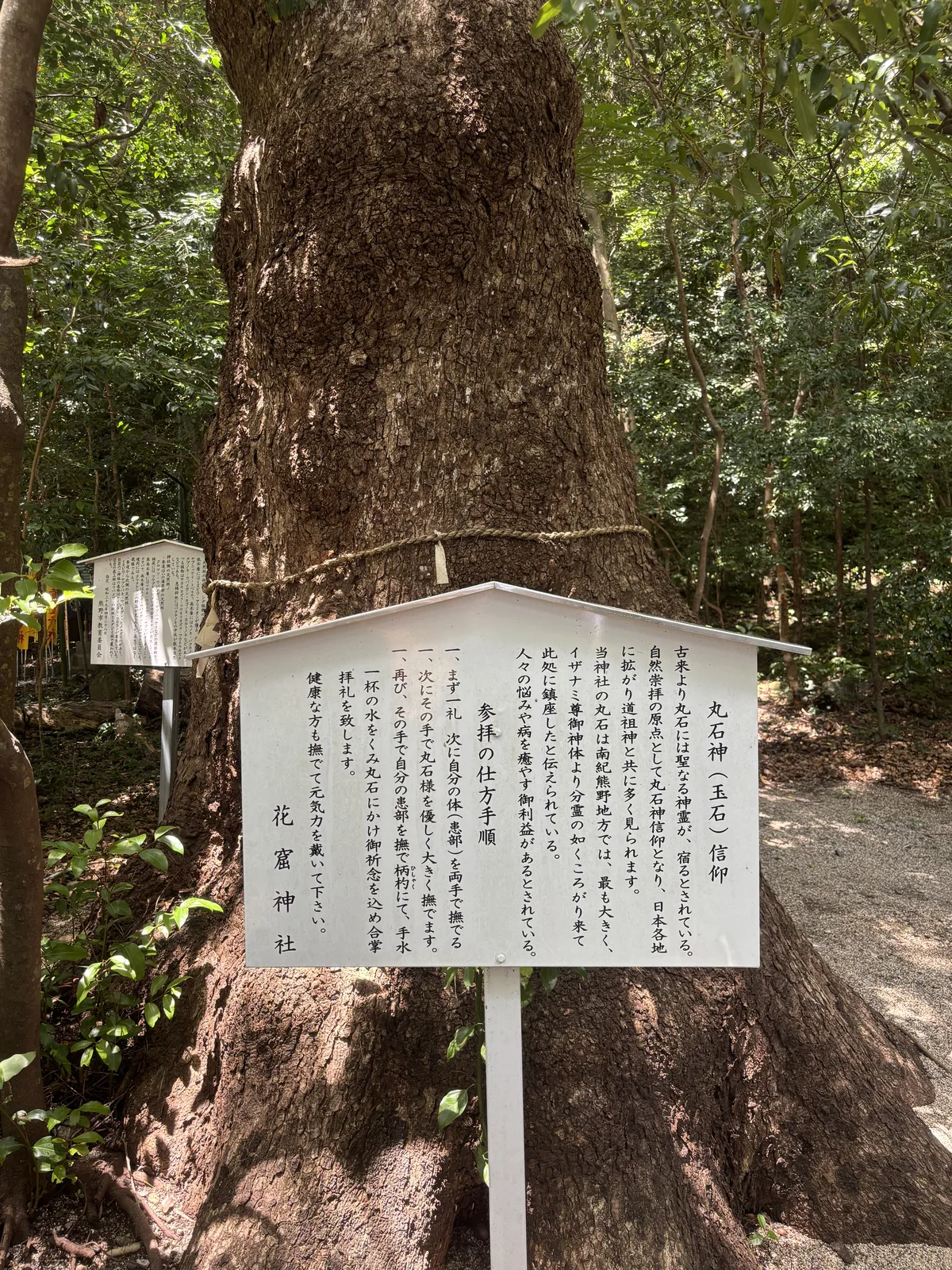 花窟神社立。板上把拜法寫成三個步驟：先一禮並以雙手撫自己的患部，再以同一雙手輕撫丸石，然後再撫自己、以柄杓澆一杯手水在石上合掌。末句「健康な方も撫でて元気力を戴いて下さい」。