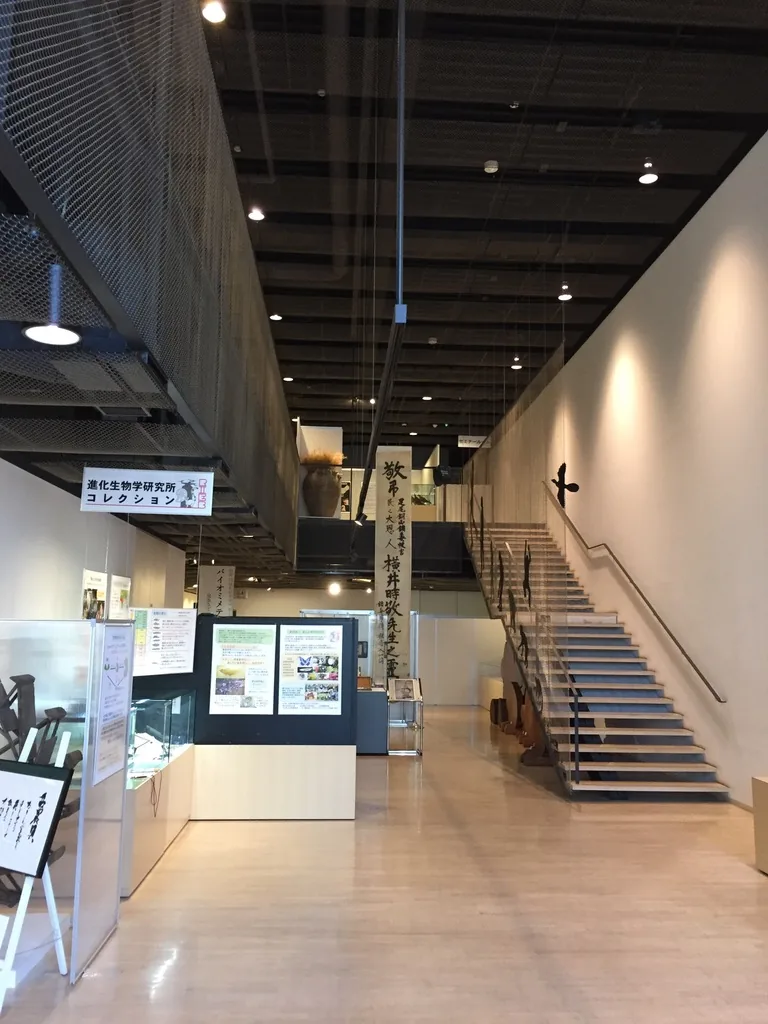 博物館一樓大廳，左側是展示櫃與標示「進化生物學研究所收藏」的看板，中央是直通二樓的直跑樓梯，天花露出深色的樓板與金屬網，牆面為白色