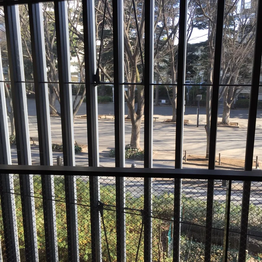 自二樓透過縱向 louver 向外望，louver 之間可見街道對面冬季落葉的櫸樹、步道與路燈，近處是玻璃帷幕的竪框與防墜的金屬網