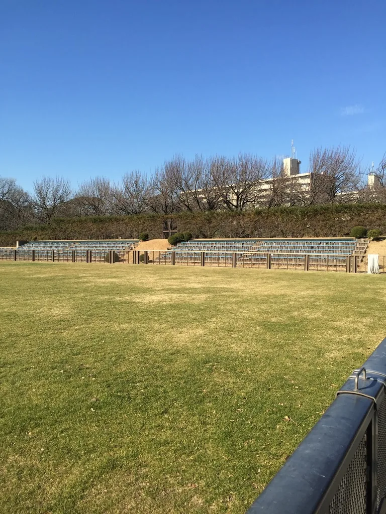平成二十七年的馬事公苑馬場，前景是冬季的枯黃草坪與一段金屬欄杆，遠處是低矮的看台、樹籬與冬季的樹列