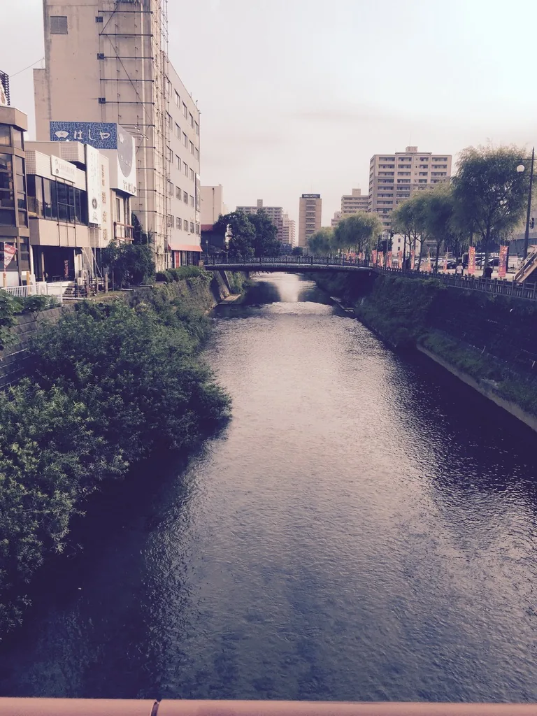 清晨的旭川，河道兩岸是茂密的綠樹與步道，遠處有一座橋與市區的建築