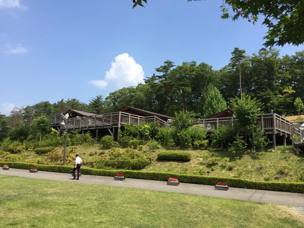草坪後方的斜坡上，數棟深色屋頂的木屋以木棧道相連，棧道沿坡地架高