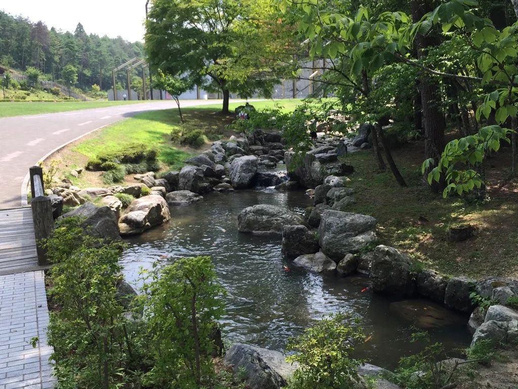 山野草園的溪流，自然石砌的駁岸之間水流蜿蜒，一側是木棧道