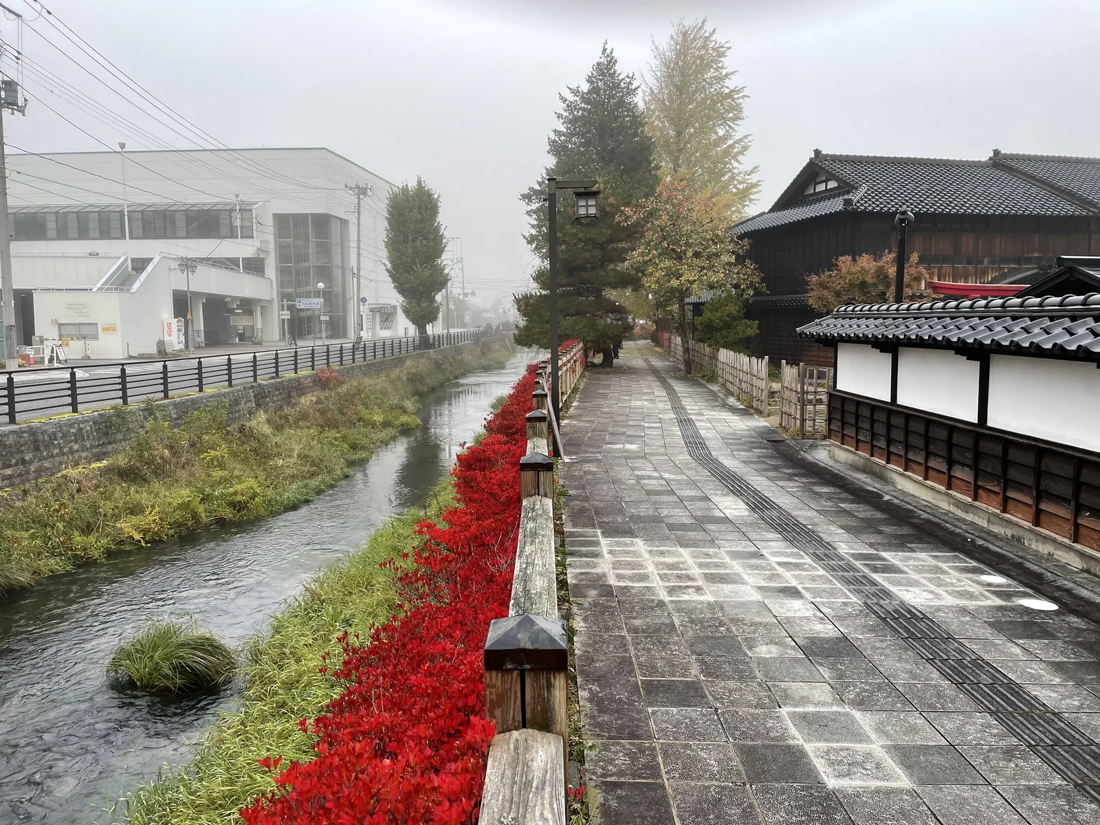 來內川沿岸步道與秋季的紅葉