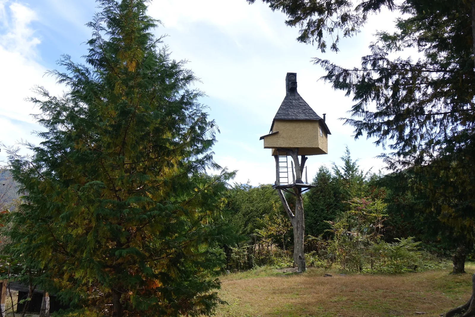 樹林之間的草地盡頭，一座小屋架在兩根細長的樹幹上，高過周圍的樹梢，屋頂上有一支歪斜的煙囪