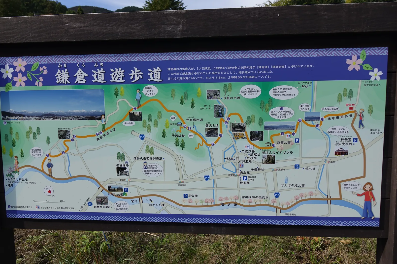 木造的案內板，板上是一幅手繪風格的步道地圖，以橘色線條標示沿山麓的步道與沿途的名所，標題為鎌倉道遊步道